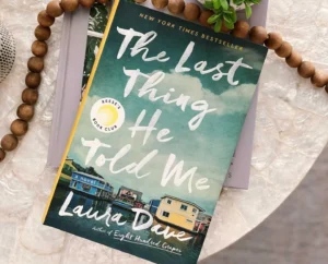 the last thing he told me summary