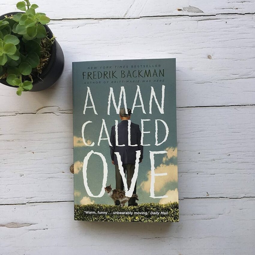A man called Ove summary